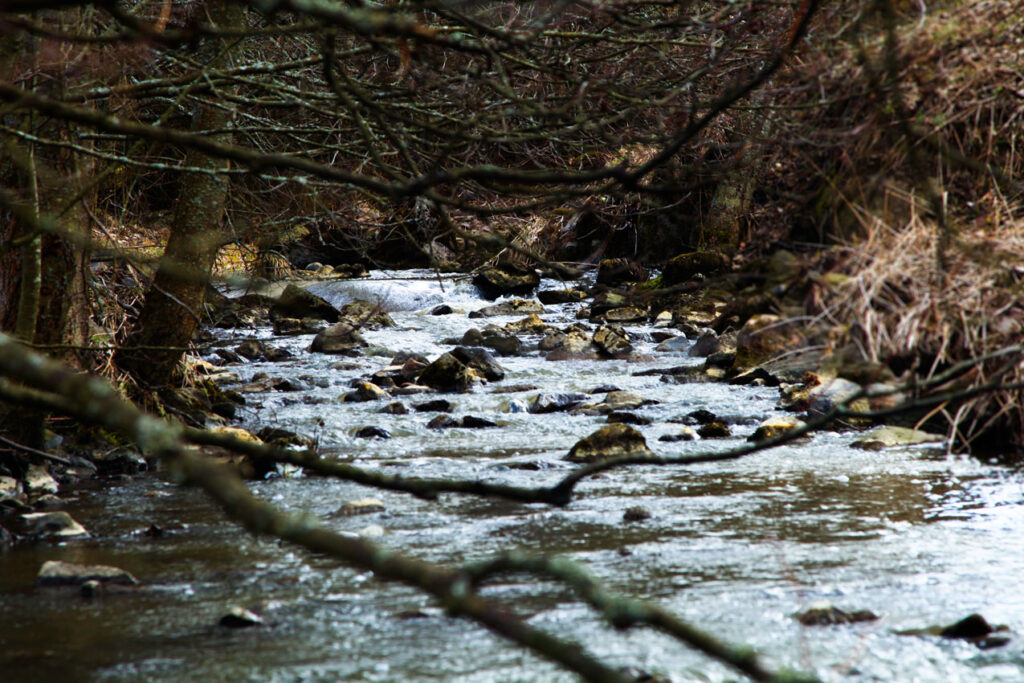 Kuvassa Kuninkojan kuohuvaa koskea.