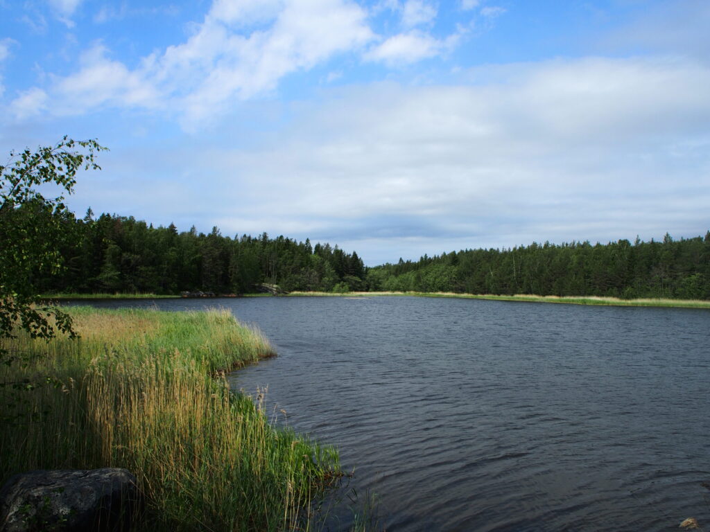 Suojainen metsän ympäröimä merenlahti