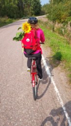 Takaa päin kuvattu pyöräilijä, jolla on selkäreppu, jossa on auringonkukka