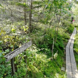 Metsää, jossa kulkee pitkospuumainen polku ja etualalla puinen reittiviitta, jossa lukee Pohtiovuori