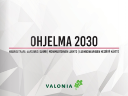 Ohjelma 2030 kansilehti. Abstraktisti kuvioitu tausta, jonka päällä Valonian logo. Lisäksi teksti Ohjelma 2030 . Hiilineutraali Varsinais-Suomi, monimuotoinen luonto, luonnonvarojen kestävä käyttö