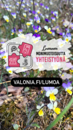 kukkia, instapostaus jossa lukee Luonnon monimuotoisuutta yhteistyönä. Valoni.fi/lumoa