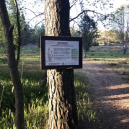 Kuvassa puuhun kiinnitetty kohdekyltti, taustalla polku sekä ketomaisemaa, jossa mm. kataja.