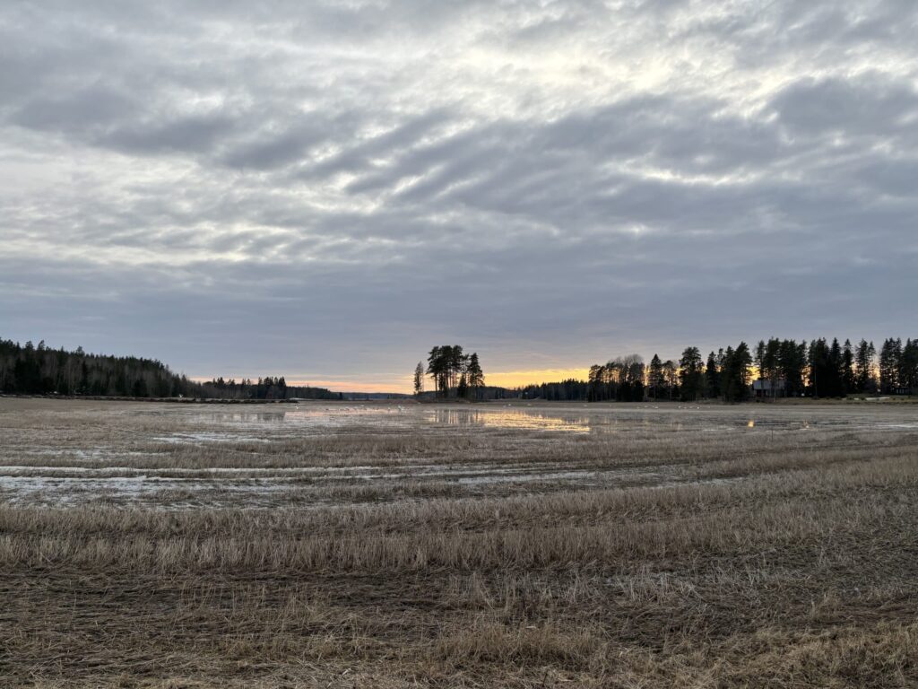 Pelto, vettä, tulva, kevät