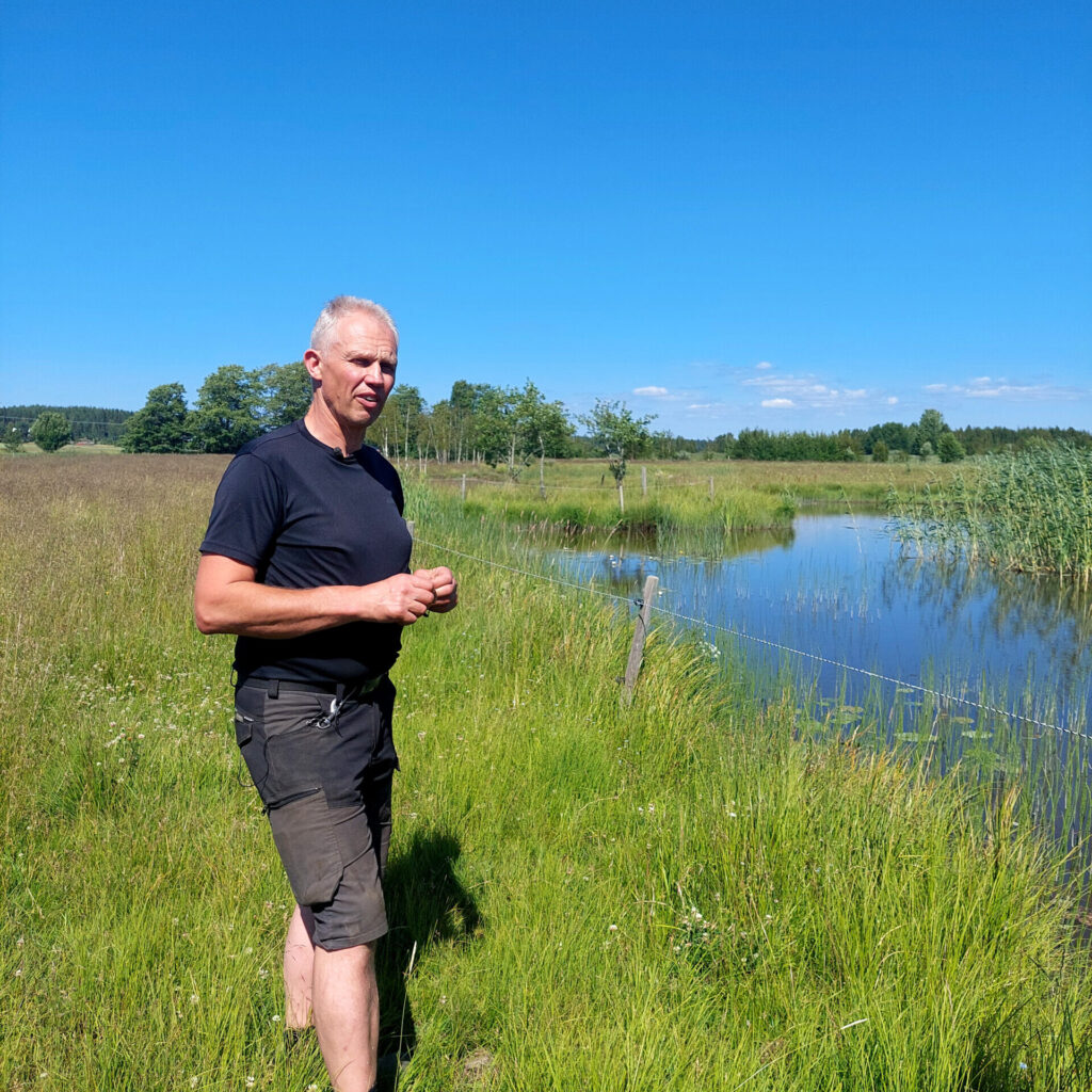 Mies kävelee niityllä, vieressä vesistöä