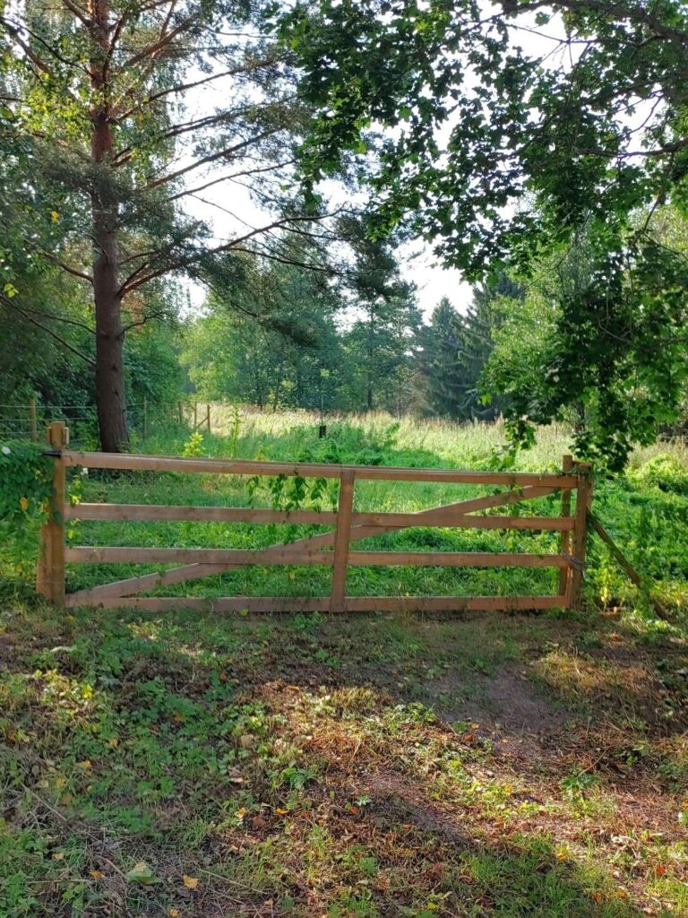 Laidunaitauksen portti