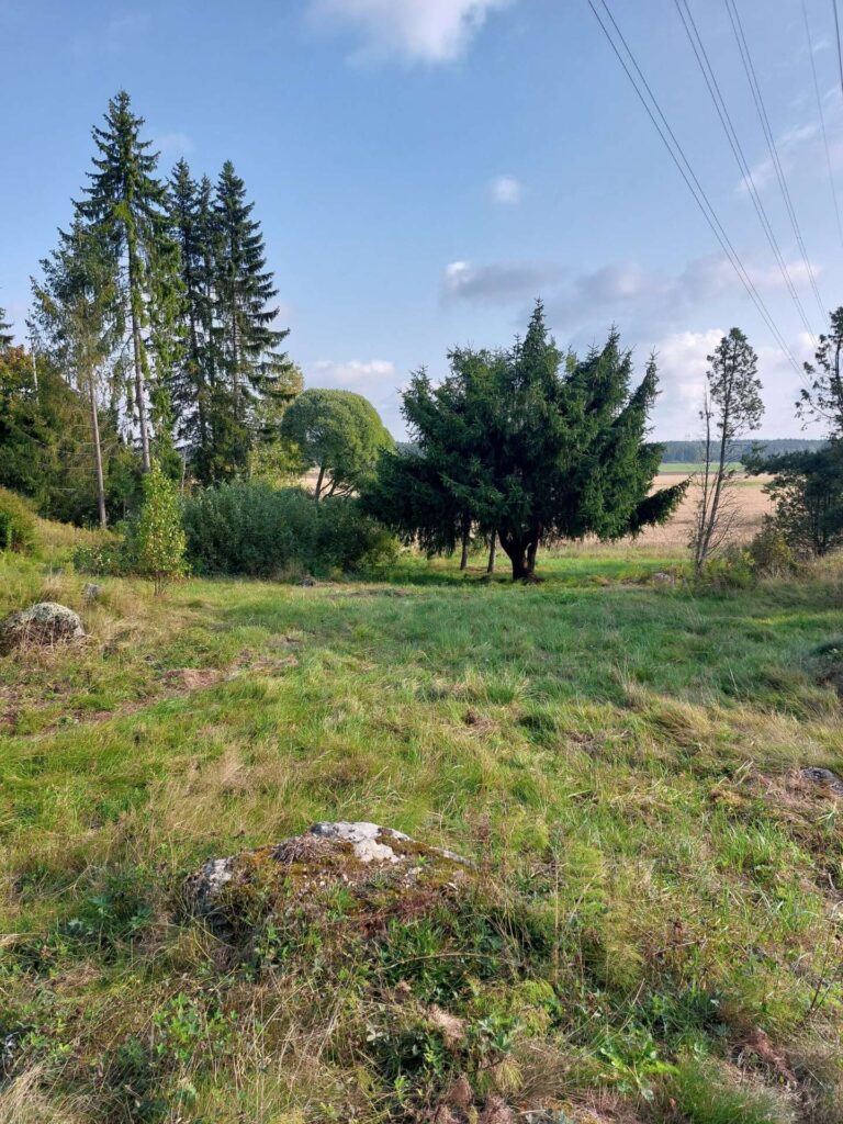 Taivaalla voimalinjoja, takana puustoa, etualalla niittyä