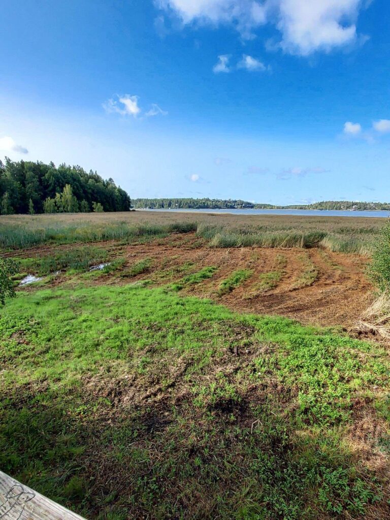 Kaukana vesistöä, etualalla lahden heinikköä