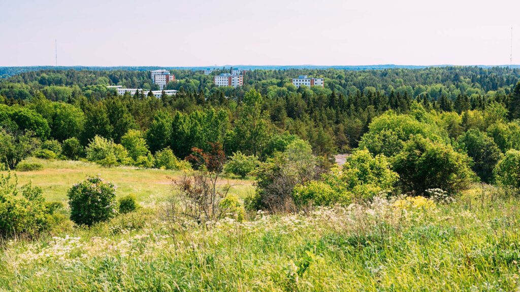 kaupunki, metsää, niittyä