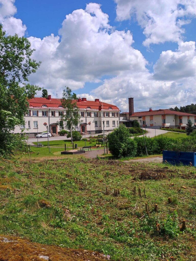 Teijunpiha, rakennus kaukana, niitty etualalla