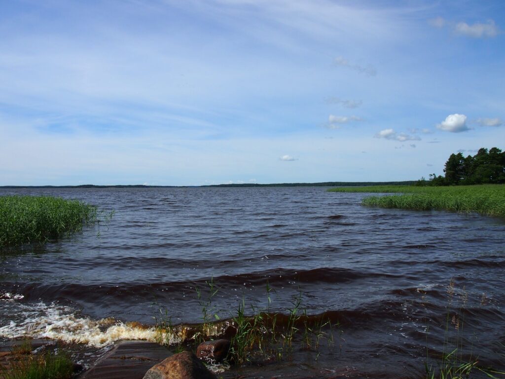 Merta, taivasta ja kaislikkoa