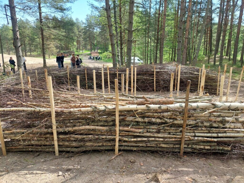 riukuaitaa, taustalla puita