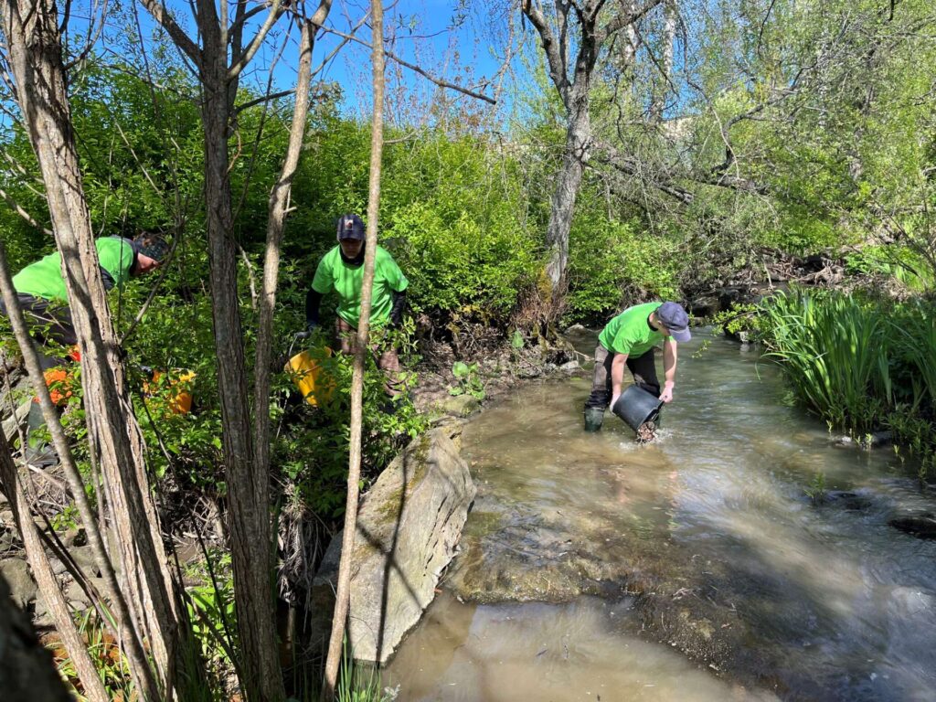 Ihmiset ketjussa ojan penkalla. Henkilö ketjun päässä heittää sorat koskenniskaan.