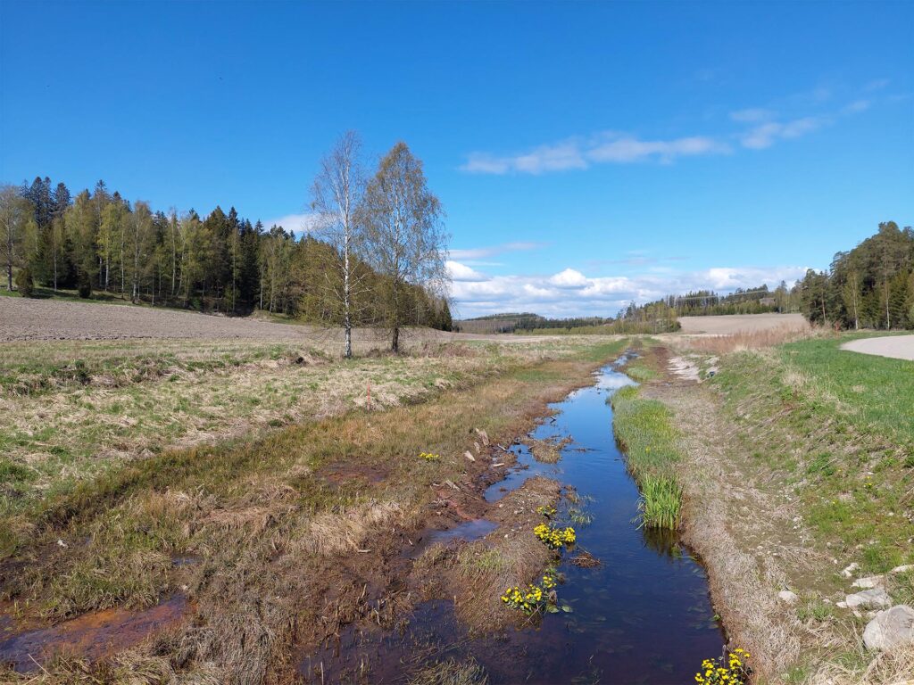 Raaseporinjoen tulvatasannetta on rakennettu yhteensä noin 5km. Kuva: Katariina Yli-Heikkilä