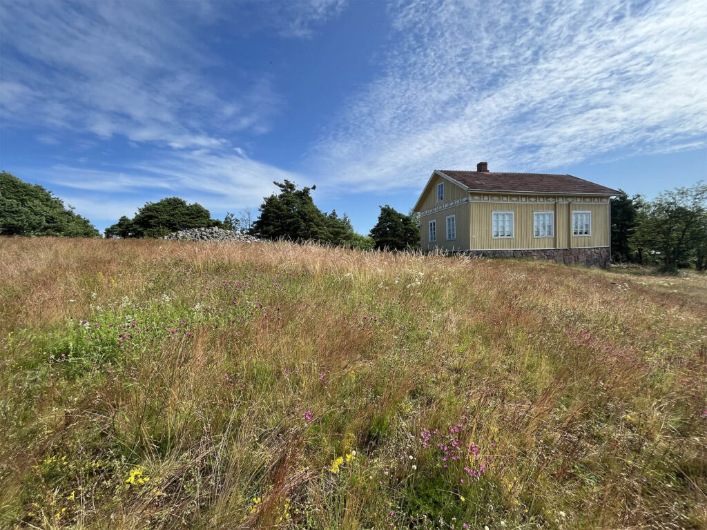 Valokuva niitystä jonka taustalla näkyy rakennus
