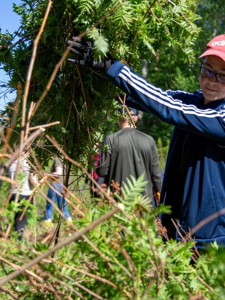 henkilö nostaa kasvikasaa