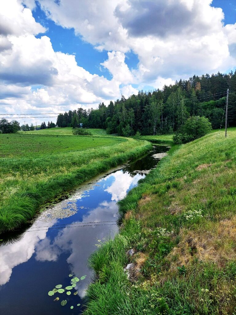 Vehreiden peltojen välissä kulkeva mutkitteleva oja, josta heijastuu poutapilviä. Taustalla metsää.