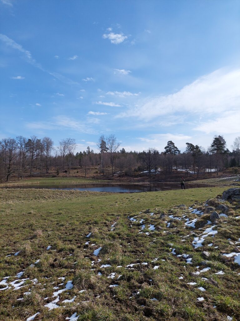 kosteikko, peltoa, taivasta, metsää