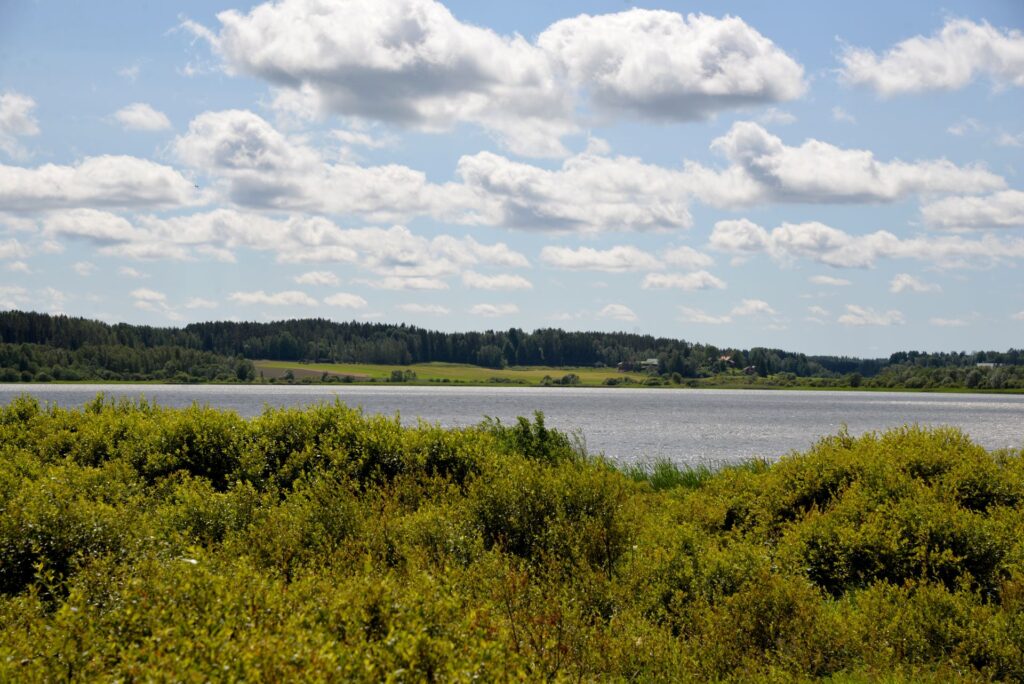 Etualalla kasvillisuutta, taustalla kimmeltää järvimaisema ja vastarannalla peltoa sekä metsää.