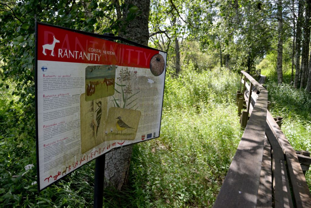 Opastaulu vasemmalla, oikealla pitkospuut ja taustalla runsasta rantakasvillisuutta.