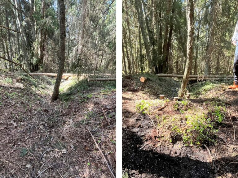 Ennen ja jälkeen. Kuva: Anni Himberg