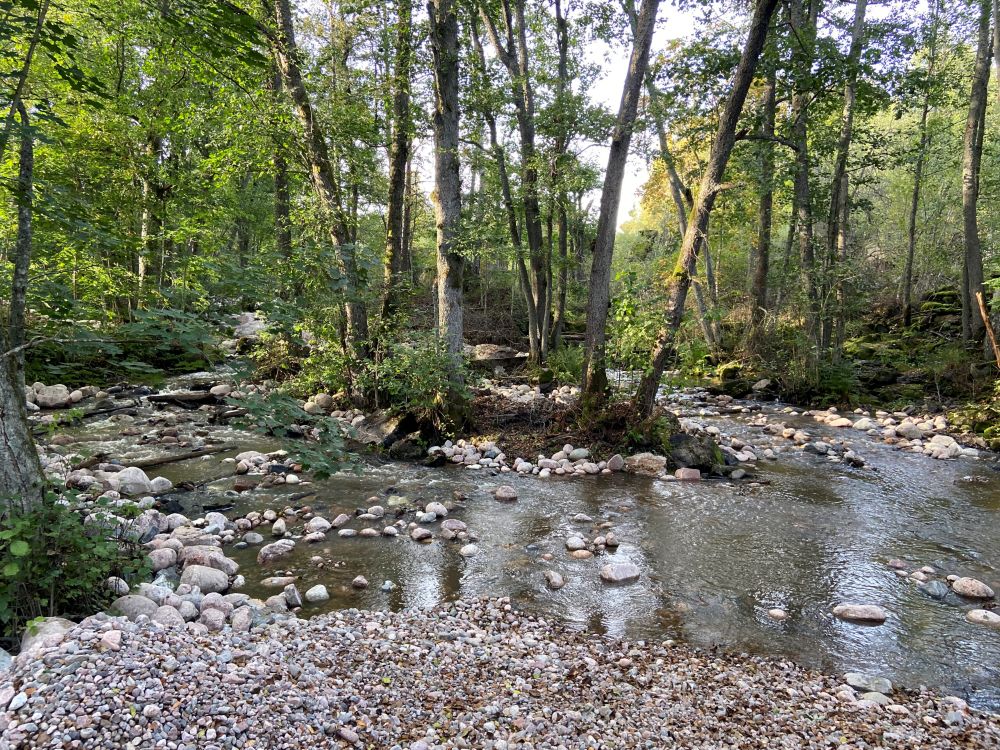 Holstenkosken alajuoksu