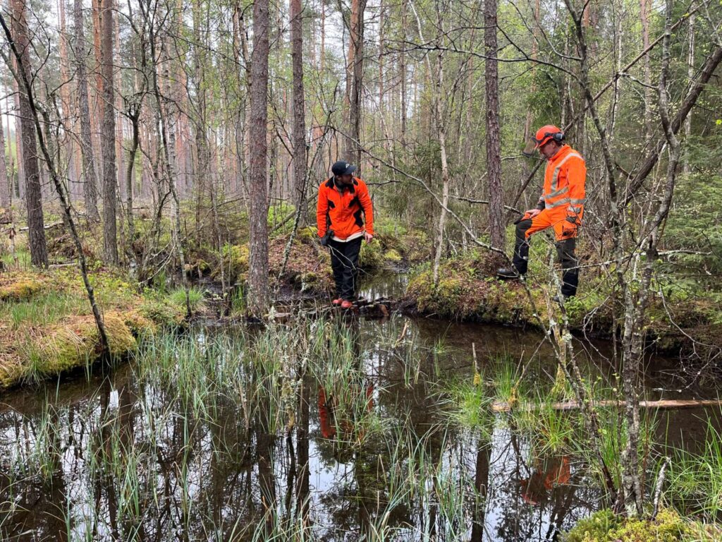 Kaksi henkilöä suoluonnon keskellä tarkastamassa alueelle tehtyjä patoja.