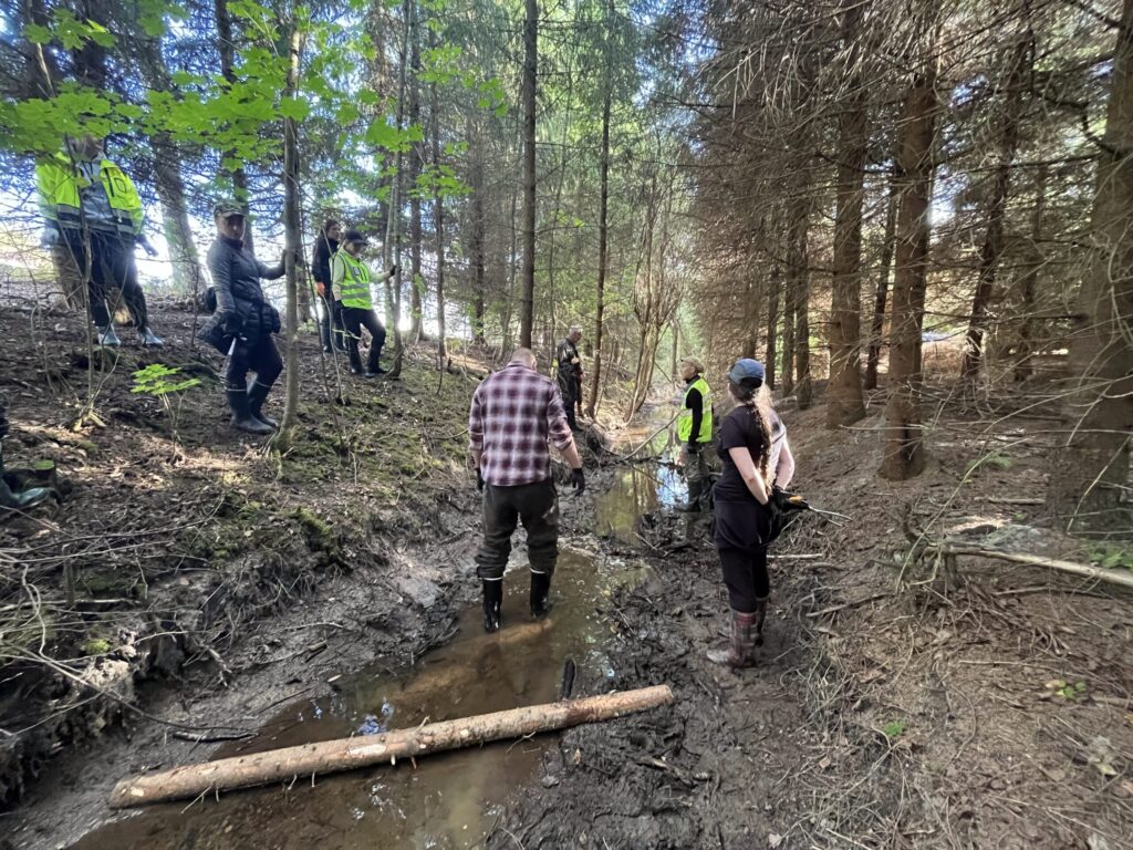 Ojanpohjalla ihmisiä, reunoilla kuusikkoa, etualalla puusuisteita.