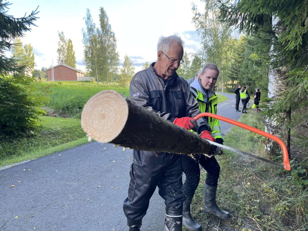 Henkilö sahaa kuusen runkoa. Toinen henkilö pitää kiinni. Taustalla kävelytie ja puustoa.