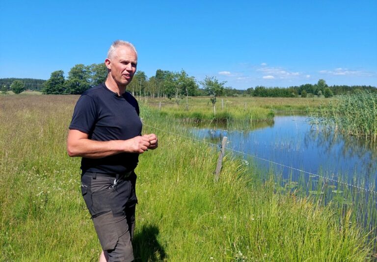 mies kävelee niityn reunaa, vieressä vesistöä