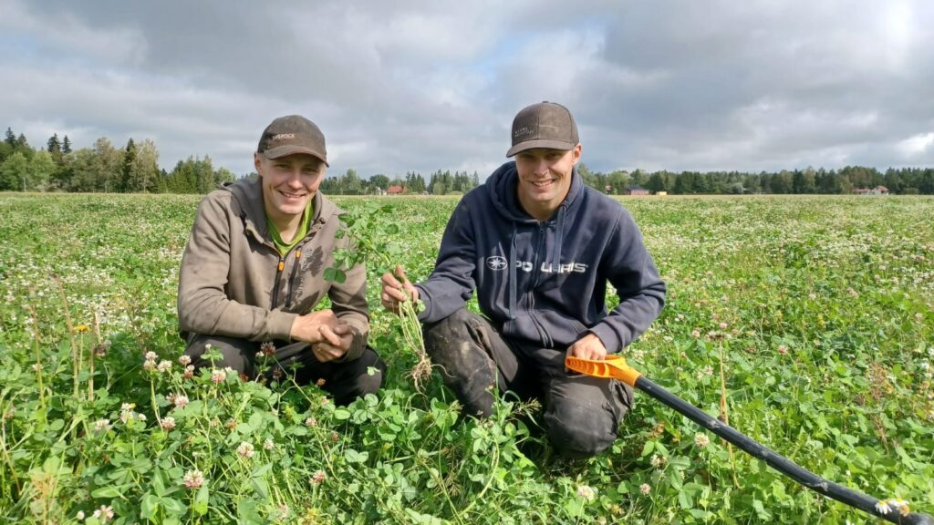 Kaksi nuorta miestä kyykistyy apilapellolla, hymyilee