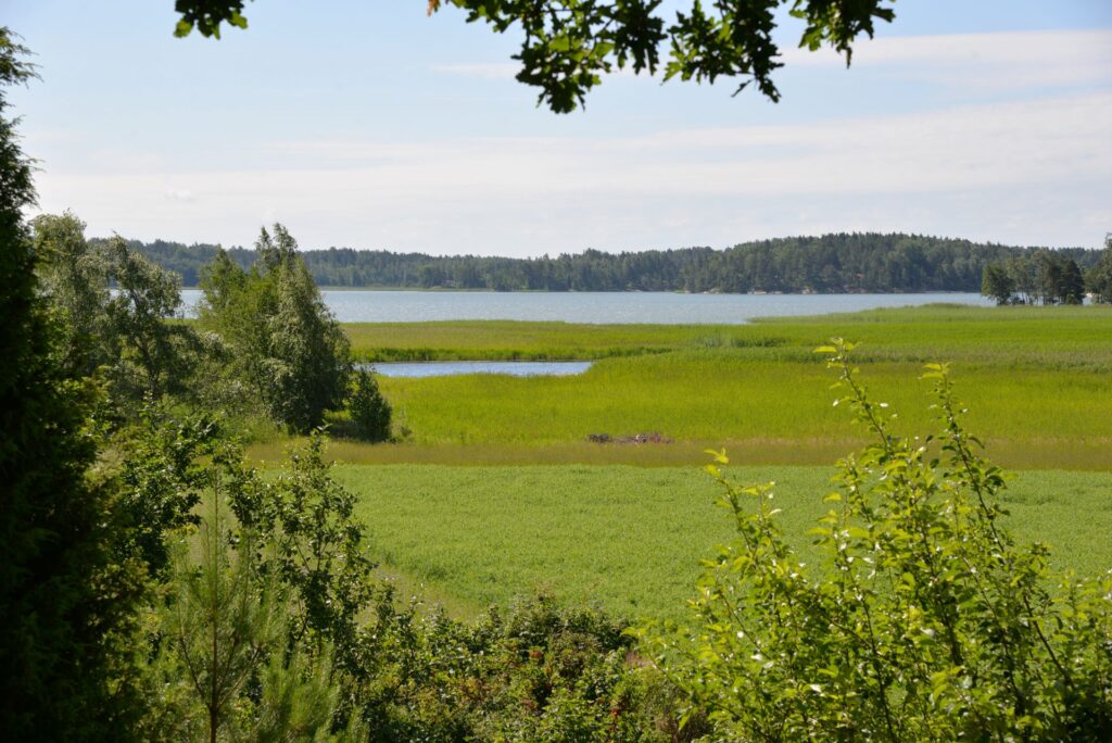 Peltomaisema pensaiden ja puiden välistä kuvattuna. Taustalla meri ja metsää.