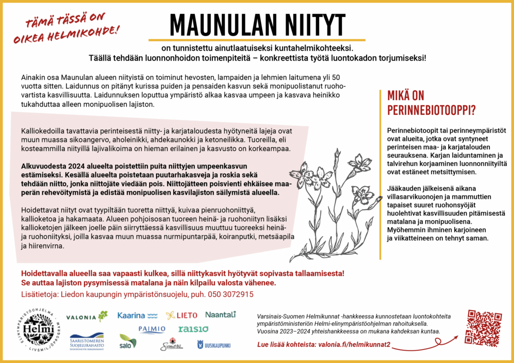 Infokyltti, jossa on piirroskuva ketoneilikasta ja logot: Valonia, Saaristomeren suojelurahasto, Kaarina, Salo, Lieto, Paimio, Naantali, Raisio, Somero ja Uusikaupunki. Tekstissä kerrotaan Maunulan niityistä, jotka ovat aiemmin toimineet eläinten laitumina yli 50 vuoden ajan. Laidunnus on estänyt puiden ja pensaiden kasvua sekä monipuolistanut ruohovartista kasvillisuutta. Laidunnuksen loputtua alue on alkanut umpeutua, mikä uhkaa monimuotoista lajistoa. Kalliokedoilla tavataan perinteisestä niitty- ja karjataloudesta hyötyneitä lajeja, kuten sikoangervoa, aholeinikkia, ahdekaunokkia ja ketoneilikkaa. Alueelta poistettiin alkuvuodesta 2024 puita niittyjen umpeenkasvun estämiseksi, ja kesällä tehdään niitto sekä poistetaan puutarhakasveja ja roskia. Niittojätteen poisvienti ehkäisee maaperän rehevöitymistä ja edistää monipuolisen kasvilajiston säilymistä. Hoidettavat niityt ovat tyypiltään tuoretta niittyä, kuivaa pienruohoniittyä, kallioketoa ja hakamaata. Alueen pohjoisosassa on tuoreita heinä- ja ruohoniittyjä, joissa kasvaa muun muassa nurmipuntarpäätä, koiranputkea, metsäapilaa ja hiirenvirnaa. Tekstissä myös selitetään, mitä perinnebiotoopit ovat: ne ovat alueita, jotka ovat syntyneet perinteisen maa- ja karjatalouden seurauksena, estäen metsittymisen. Niittykasvit hyötyvät tallaamisesta, mikä auttaa niitä pysymään matalina ja vähentää kilpailua valosta.