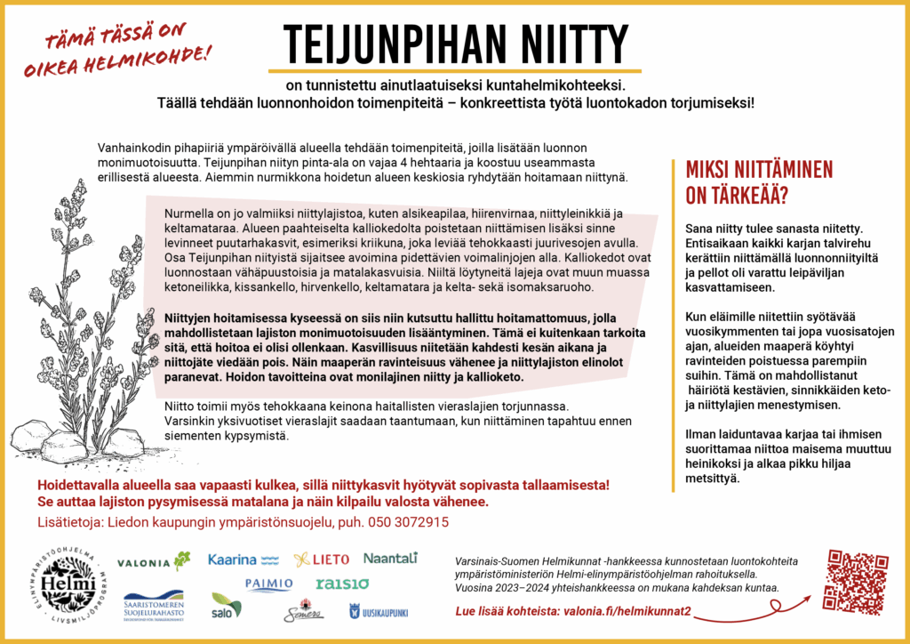 Infokyltti, jossa piirroskuva ketokukasta ja logot: Valonia, Saaristomeren suojelurahasto, Kaarina, Salo, Lieto, Paimio, Naantali, Raisio, Somero ja Uusikaupunki. Tekstissä kerrotaan Teijunpihan niitystä, joka on tunnistettu kuntahelmikohteeksi ja jossa tehdään luonnonhoidon toimenpiteitä luonnon monimuotoisuuden lisäämiseksi. Alueella hoidetaan niittyjä ja kallioketoja poistamalla sinne levinneitä puutarhakasveja, kuten kriikunaa, ja niittämällä kasvillisuutta kahdesti kesässä. Niittojäte poistetaan maaperän ravinteisuuden vähentämiseksi ja niittylajiston elinolojen parantamiseksi. Niityn kasvilajeihin kuuluu muun muassa ketoneilikka, kissankello, hiirenvirna ja alsikeapila.