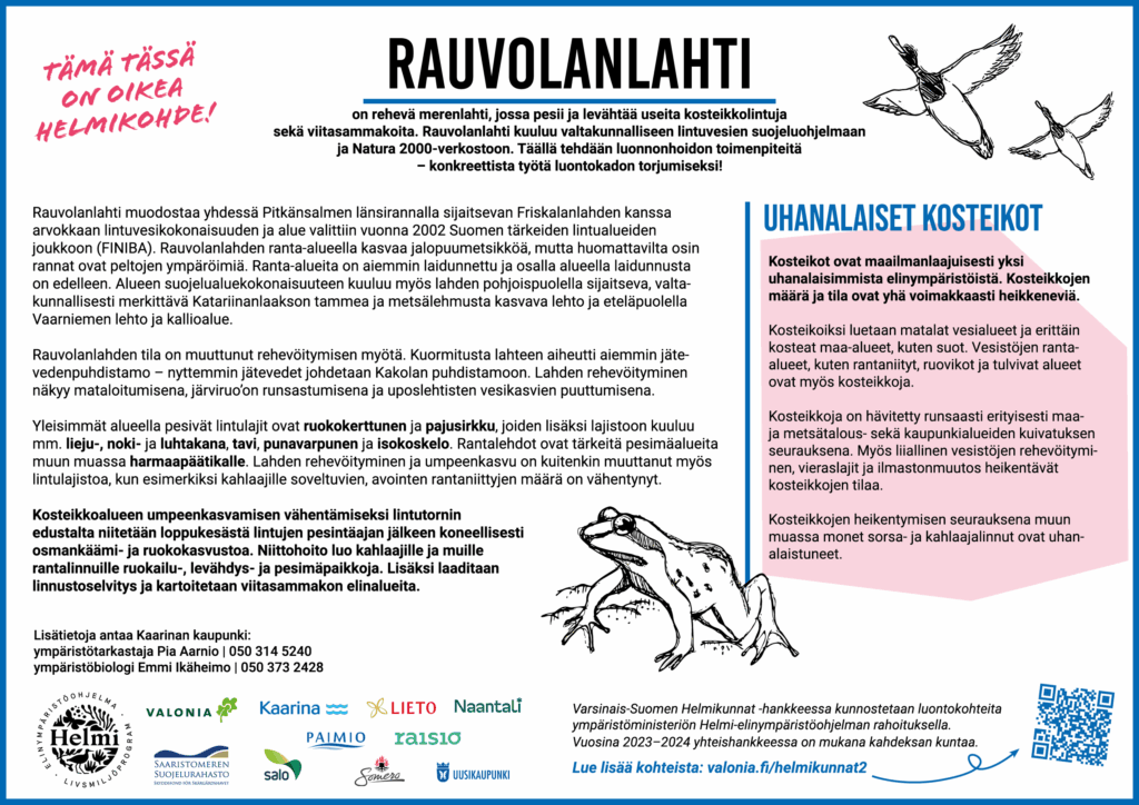 Infokyltti, jossa piirroskuvat sammakosta ja sorsista, sekä yhteistyökumppaneiden logot: Valonia, Saaristomeren suojelurahasto, Kaarina, Salo, Lieto, Paimio, Naantali, Raisio, Somero ja Uusikaupunki. Tekstissä kerrotaan Rauvolanlahdesta, joka on rehevä merenlahti, tärkeä pesimis- ja levähdyspaikka kosteikkolinnuille ja viitasammakoille. Rauvolanlahti kuuluu lintuvesien suojeluohjelmaan ja Natura 2000-verkostoon, ja siellä tehdään konkreettisia luonnonhoitotoimenpiteitä luontokadon torjumiseksi. Lisäksi kerrotaan lahden rehevöitymisestä, alueen linnuista ja kosteikkojen maailmanlaajuisesta uhanalaisuudesta.