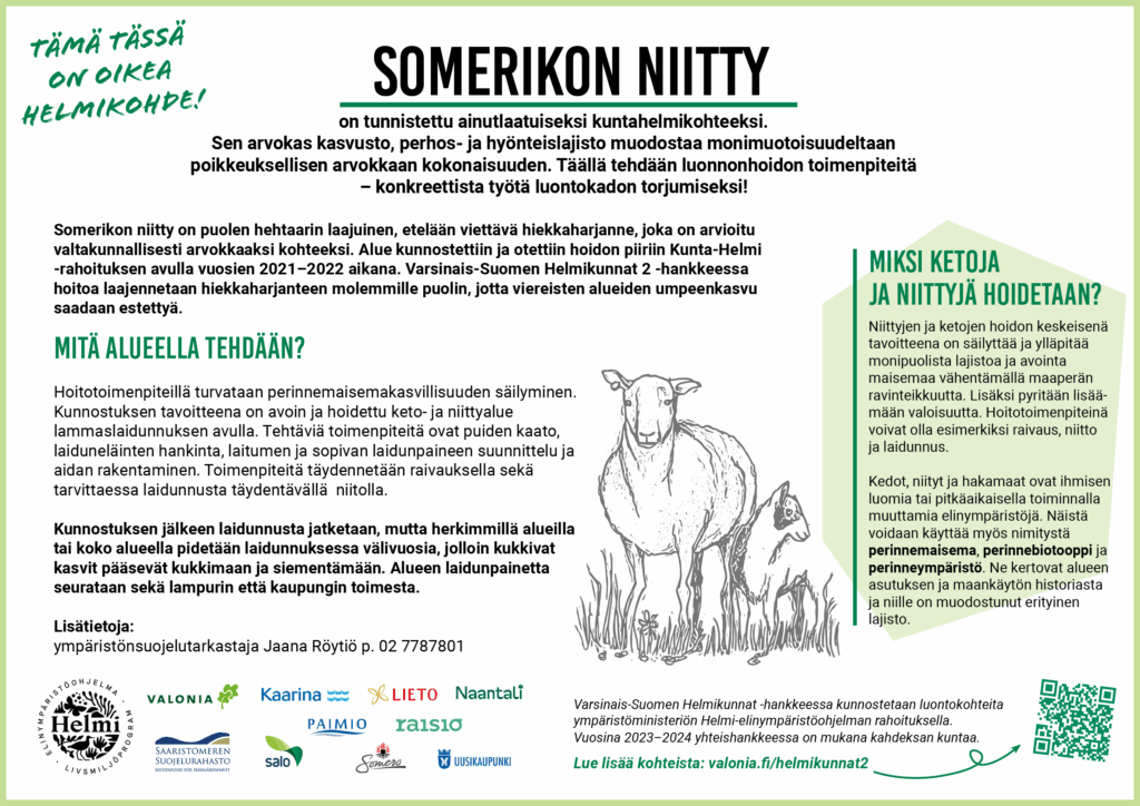 Infokyltti, jossa on piirroskuva kahdesta lampaasta. Kyltti sisältää logot: Valonia, Saaristomeren suojelurahasto, Kaarina, Salo, Lieto, Paimio, Naantali, Raisio, Somero ja Uusikaupunki. Tekstissä kerrotaan Somerikon niitystä, joka on tunnistettu ainutlaatuiseksi kuntahelmikohteeksi. Alueen arvokas kasvusto, perhos- ja hyönteislajisto muodostaa poikkeuksellisen monimuotoisen kokonaisuuden. Somerikon niitty on puolen hehtaarin laajuinen etelään viettävä hiekkaharjanne, joka on arvioitu valtakunnallisesti arvokkaaksi kohteeksi. Alue kunnostettiin ja otettiin hoidon piiriin Kunta-Helmi -rahoituksen avulla vuosien 2021–2022 aikana. Varsinais-Suomen Helmikunnat 2 -hankkeessa hoitoa laajennetaan hiekkaharjanteen molemmille puolille umpeenkasvun estämiseksi. Hoitotoimenpiteiden tavoitteena on turvata perinnemaisemakasvillisuuden säilyminen ja avoin, hoidettu keto- ja niittyalue lampaislaidunnuksen avulla. Toimenpiteitä ovat puiden kaato, laiduneläinten hankinta, laitumen suunnittelu ja aidan rakentaminen, joita täydennetään raivauksella ja tarvittaessa niitolla. Kunnostuksen jälkeen laidunnusta jatketaan, mutta herkimmillä alueilla voidaan pitää laidunnuksessa välivuosia kukintojen turvaamiseksi. Alueen laidunpainetta seurataan lampurin ja kaupungin toimesta. Kyltti tarjoaa myös yhteystiedot ympäristönsuojelutarkastaja Jaana Röytiölle. Miksi ketoja ja niittyjä hoidetaan? Niittyjen ja ketojen hoidon keskeisenä tavoitteena on säilyttää ja ylläpitää monipuolista lajistoa ja avointa maisemaa vähentämällä maaperän ravinteikkuutta sekä lisäämällä valoisuutta. Hoitotoimenpiteinä voivat olla esimerkiksi raivaus, niitto ja laidunnus. Kedot, niityt ja hakamaat ovat ihmisen luomia tai pitkäaikaisella toiminnalla muuttamia elinympäristöjä, joilla on erityinen lajisto ja historia.