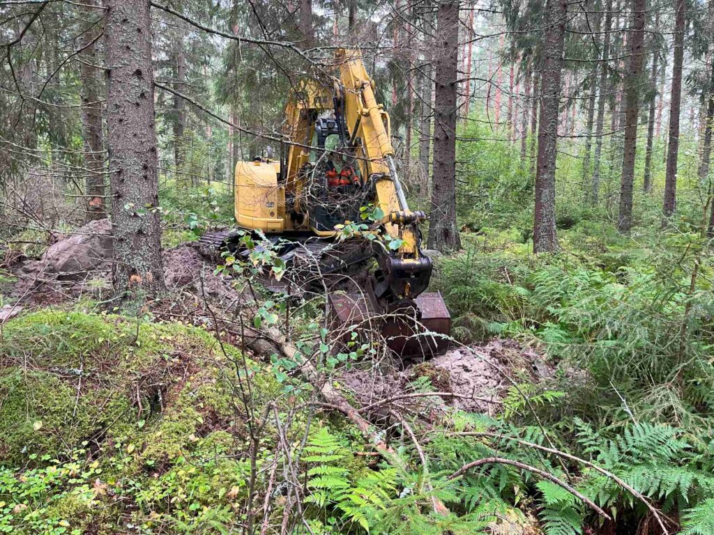 Runsasta metsäkasvillisuutta, keskellä kuvaa kaivinkone, reunoilla järeitä kuusia.