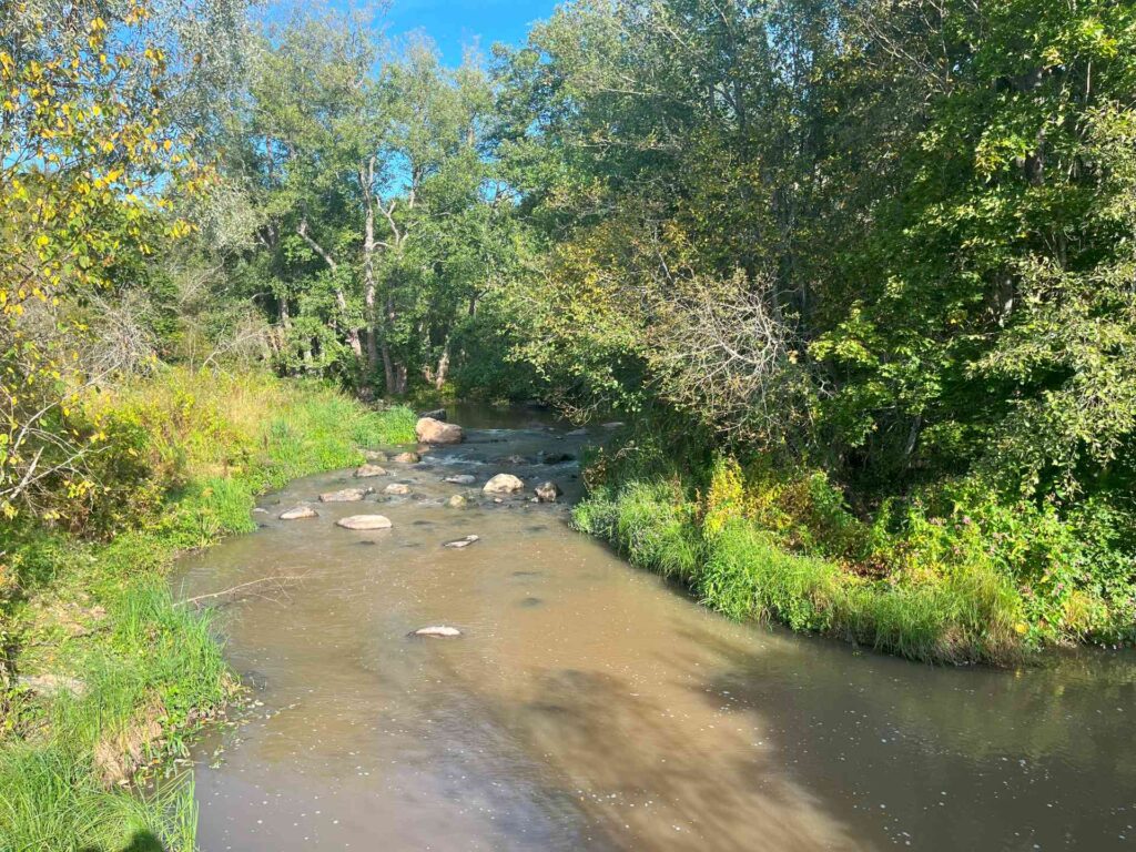 Virtaava koski, reunaoilla kasvillisuutta, takana puustoa.