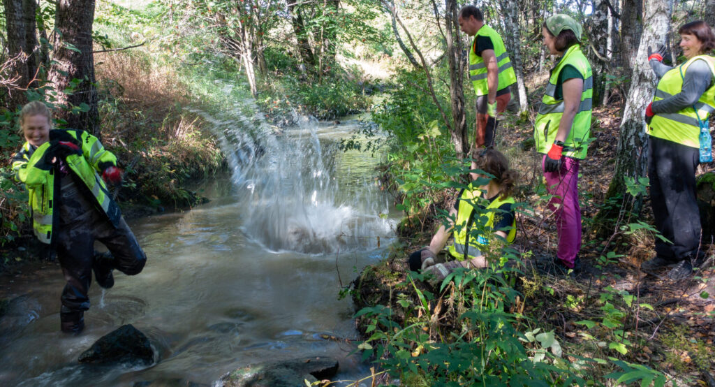 Ihminen heittää kiven ja vesi loiskahtaa