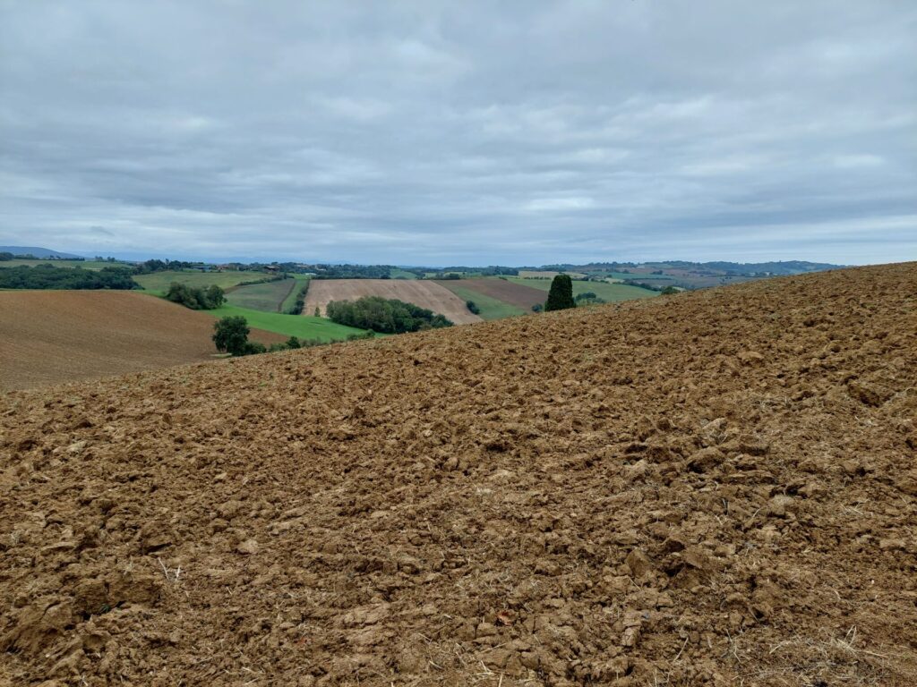 kumpuleivaa peltomaisemaa Etelä-Ranskassa