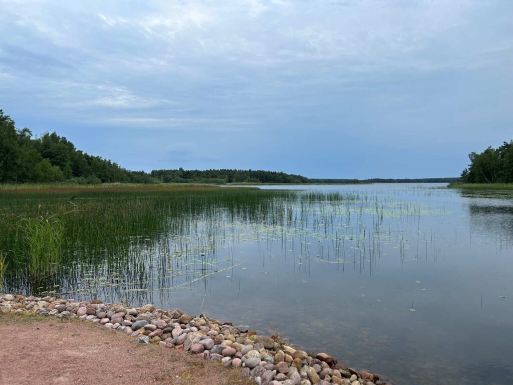 Järvenselkä, jossa vasemmalla matala ruovikko, edessä hiekka- ja kivipenger.