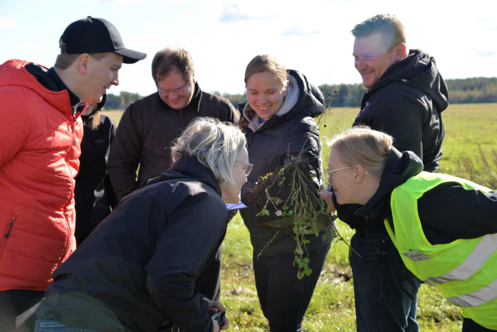 ihmisiä tutkimassa ja haistelemassa maan rakennetta
