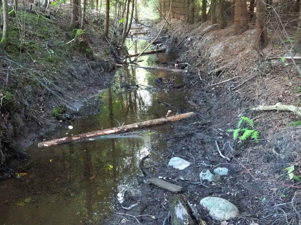 Keskellä kuvaa oja, johon aseteltu puusuisteita. Ojien reunoilla puita.