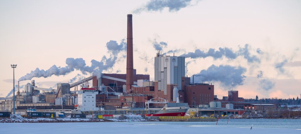 Paperitehdas, piiput, talvinen meri