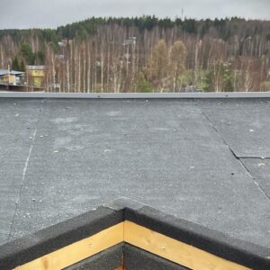 huopakattoa, saumaa, taustalla metsää ja taloja