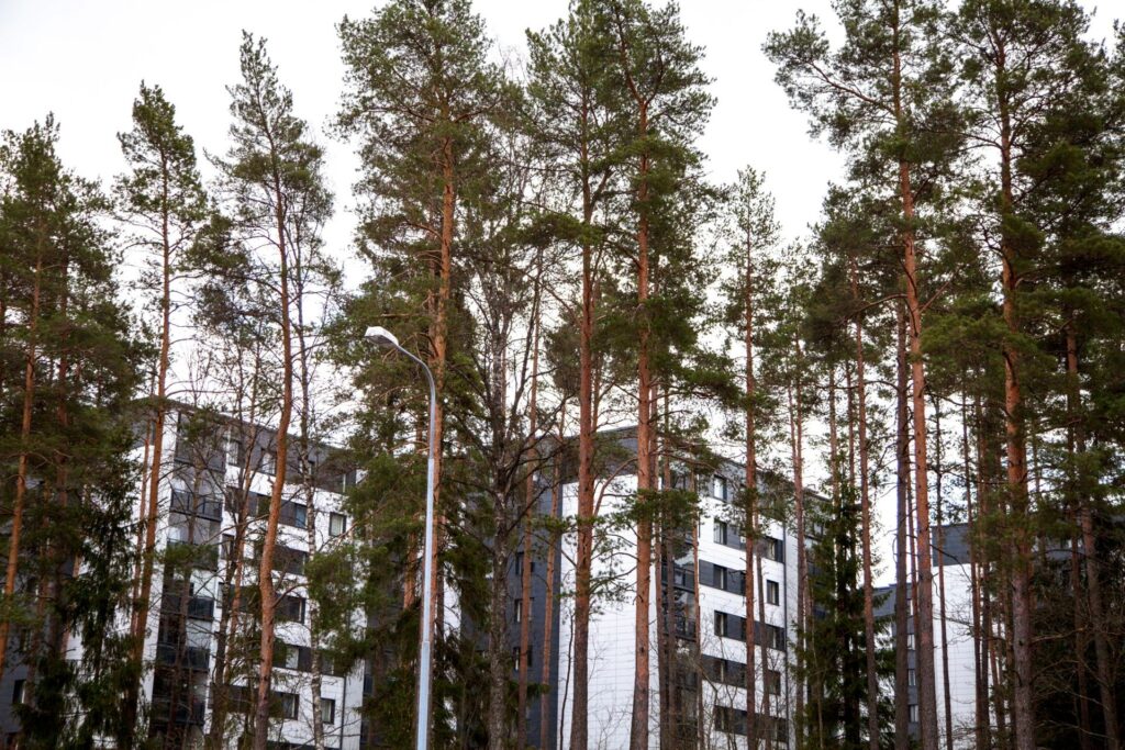 Kerrostaloja puiden takana