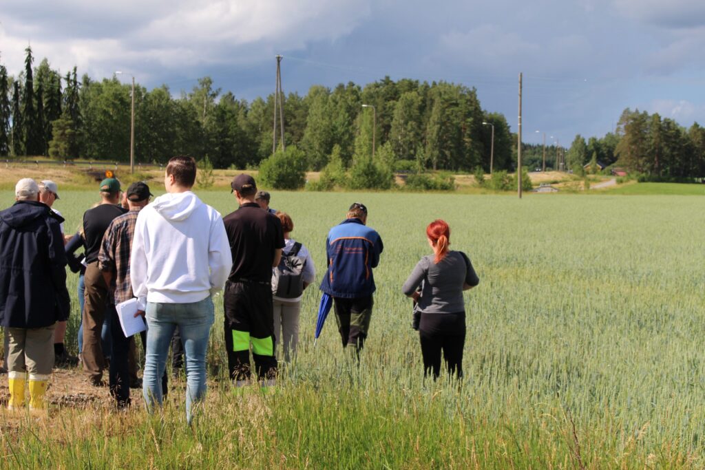 ihmisiä pellolla, taivas, puita, pelto