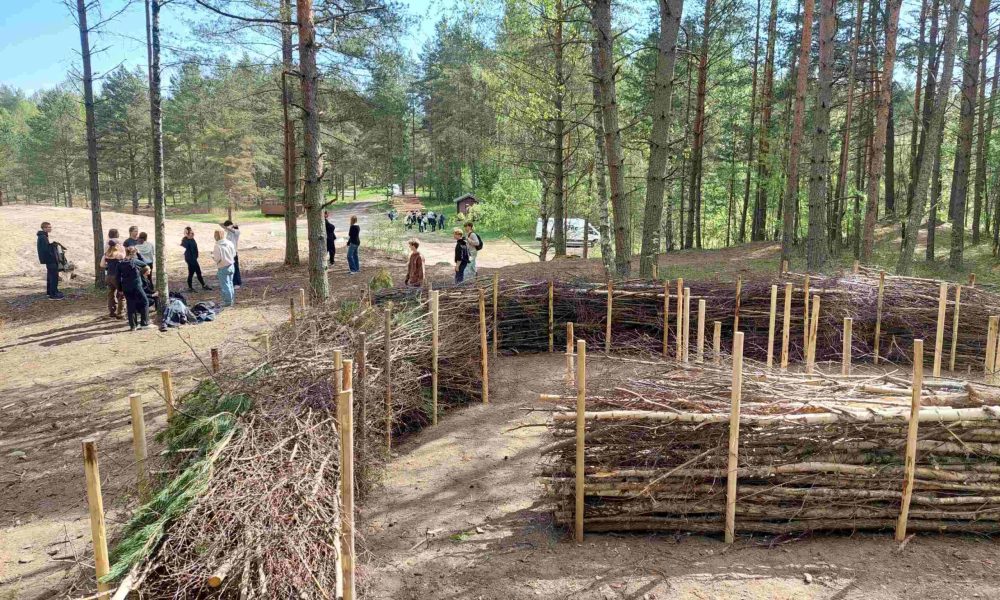 risuaita, puita, ihmisiä