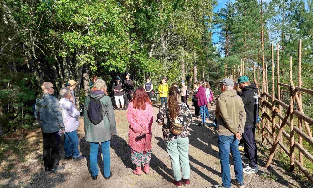 ihmisiä, kesä, puita, perinneaita