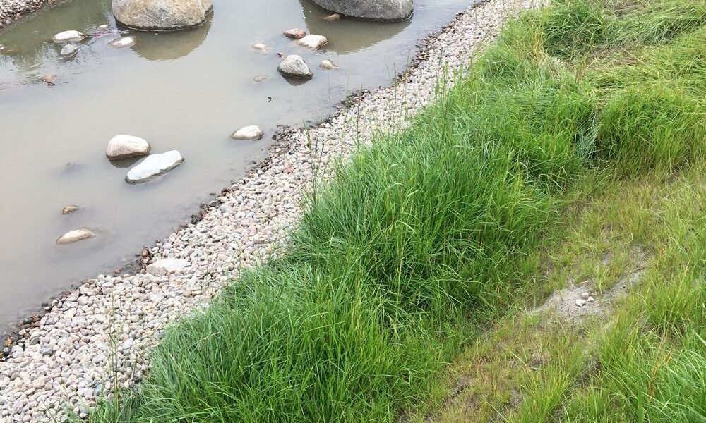 Kapea uoma, jossa virtaa sameaa vettä ja jonka pohjalla ja reunoilla on suuria ja pieniä kiviä. Molemmin puolin kasvaa vihreää nurmea ja luonnonkasveja.
